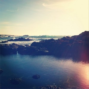 A Quite Place Amidst a Raging Sea