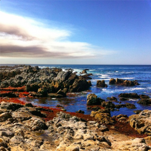 Asilomar State Beach,  Pacific Grove, CA