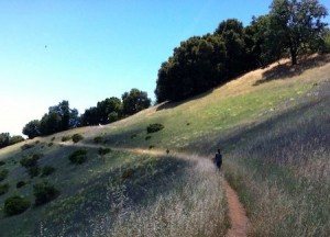 hiking path