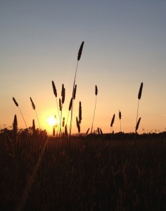 photo credit – Josh Pinkston