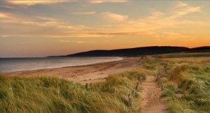 path going toward the beach
