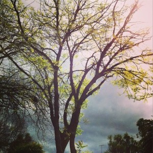 weather_playing