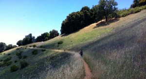 hiking pate