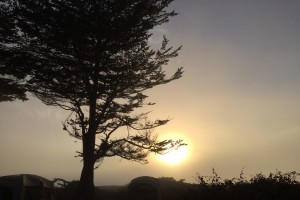 sunset and fog