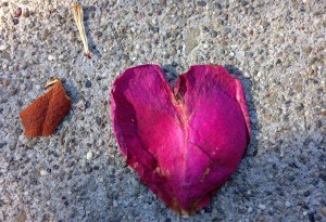 rose petal heart