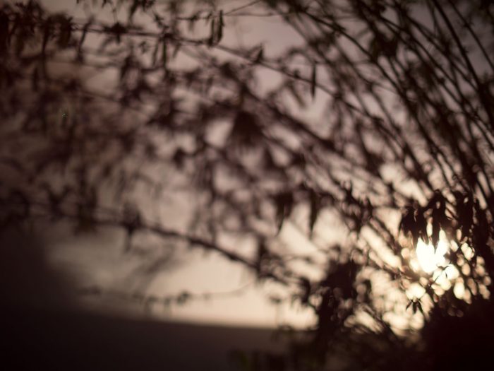 shadowy sunrise