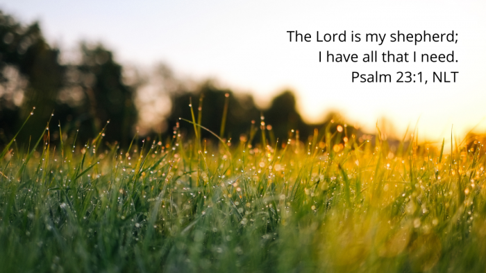 grass covered with dew at sunrise with quotation of Psalm 23:1, NLT